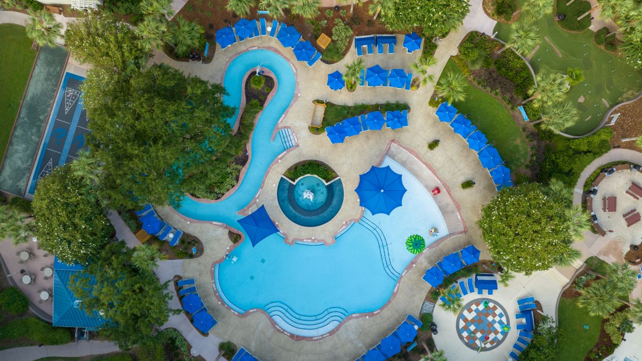 Dolphin Pool - Aerial View
